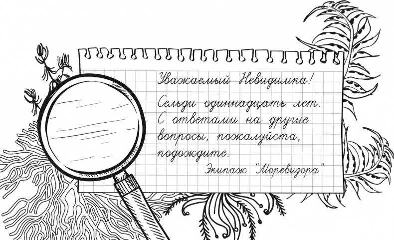 Иллюстрация к книге — «Моревизор» уходит в плавание, или Путешествие в глубь океана [i_045.jpg]