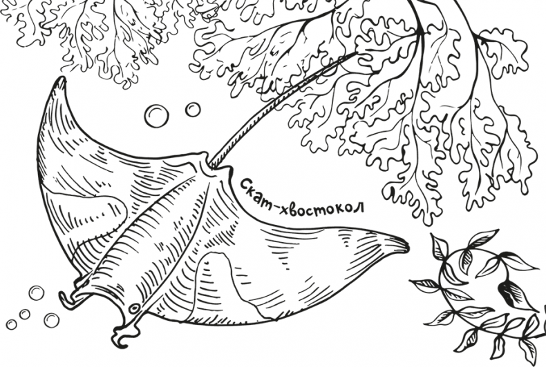 Иллюстрация к книге — «Моревизор» уходит в плавание, или Путешествие в глубь океана [i_049.jpg]