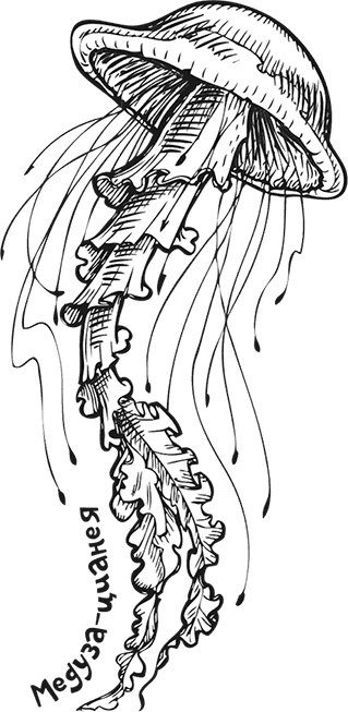 Иллюстрация к книге — «Моревизор» уходит в плавание, или Путешествие в глубь океана [i_050.jpg]