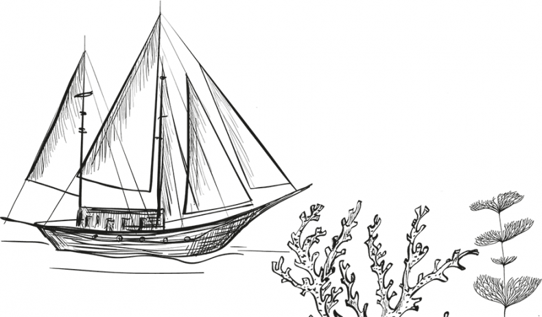 Иллюстрация к книге — «Моревизор» уходит в плавание, или Путешествие в глубь океана [i_067.jpg]