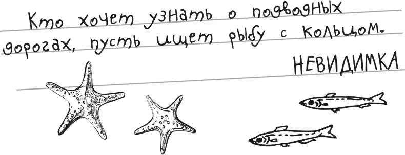 Иллюстрация к книге — «Моревизор» уходит в плавание, или Путешествие в глубь океана [i_070.jpg]