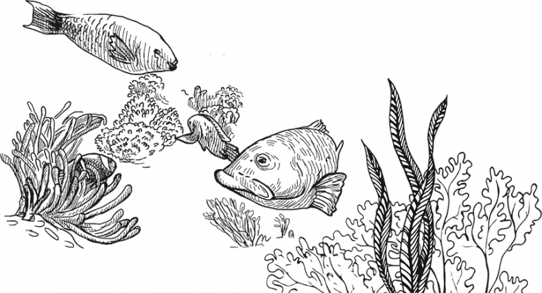 Иллюстрация к книге — «Моревизор» уходит в плавание, или Путешествие в глубь океана [i_076.jpg]