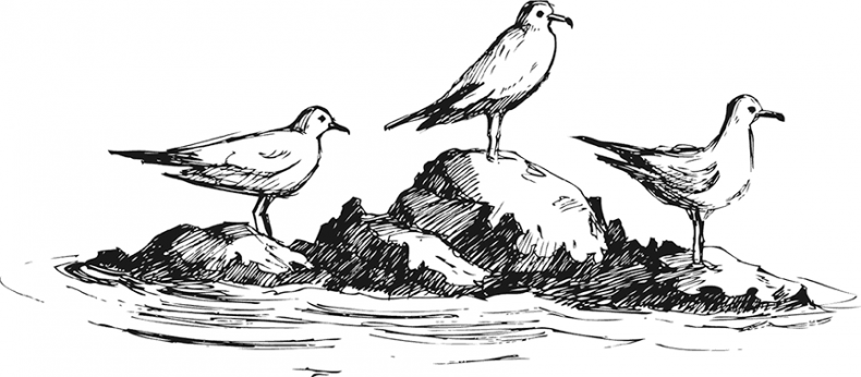 Иллюстрация к книге — «Моревизор» уходит в плавание, или Путешествие в глубь океана [i_079.jpg]