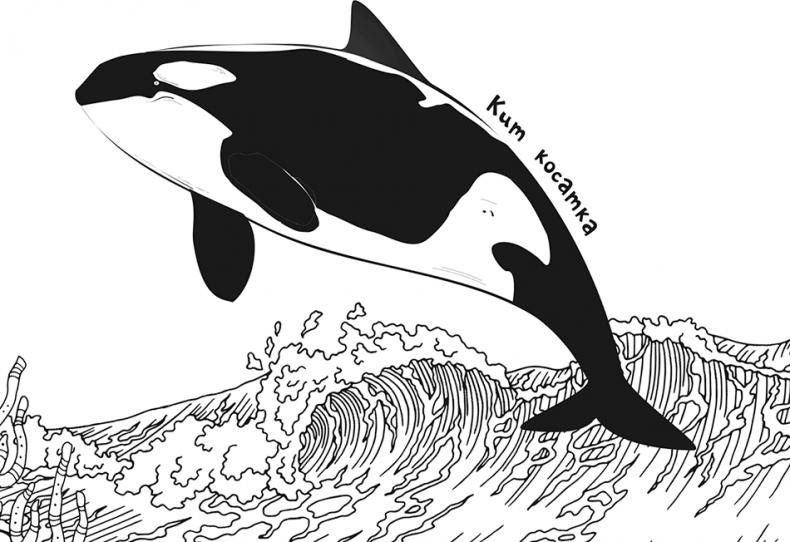 Иллюстрация к книге — «Моревизор» уходит в плавание, или Путешествие в глубь океана [i_084.jpg]