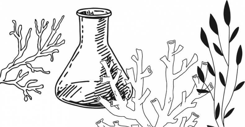 Иллюстрация к книге — «Моревизор» уходит в плавание, или Путешествие в глубь океана [i_087.jpg]