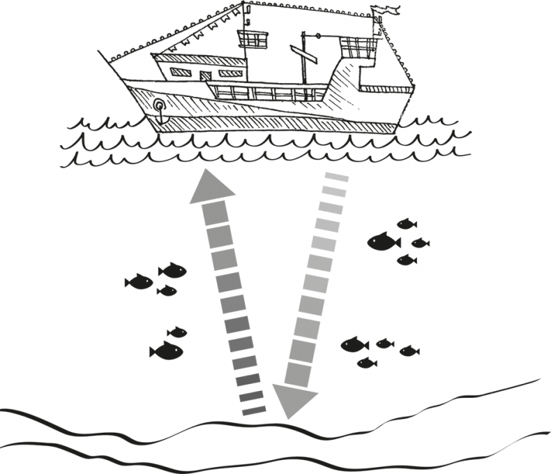Иллюстрация к книге — «Моревизор» уходит в плавание, или Путешествие в глубь океана [i_093.jpg]