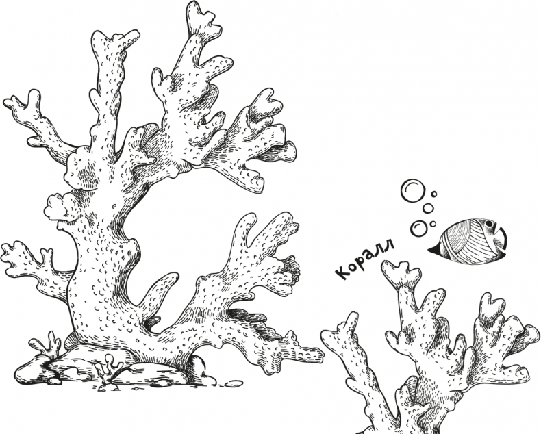 Иллюстрация к книге — «Моревизор» уходит в плавание, или Путешествие в глубь океана [i_097.jpg]