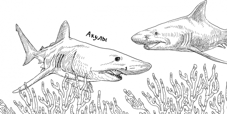 Иллюстрация к книге — «Моревизор» уходит в плавание, или Путешествие в глубь океана [i_100.jpg]