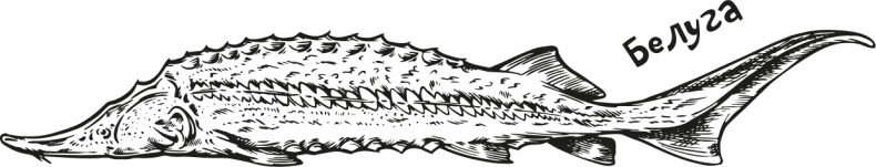 Иллюстрация к книге — «Моревизор» уходит в плавание, или Путешествие в глубь океана [i_109.jpg]