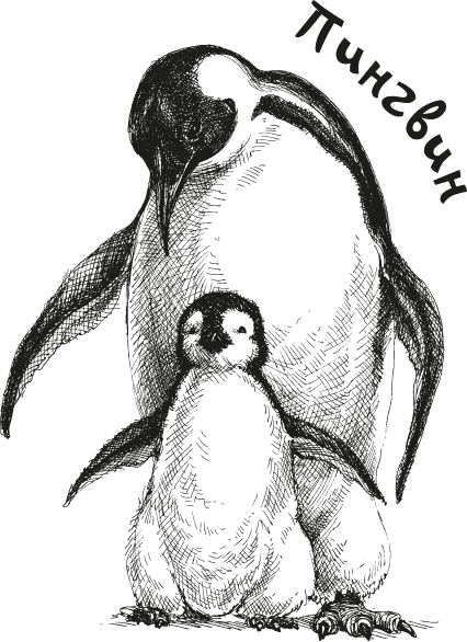 Иллюстрация к книге — «Моревизор» уходит в плавание, или Путешествие в глубь океана [i_110.jpg]