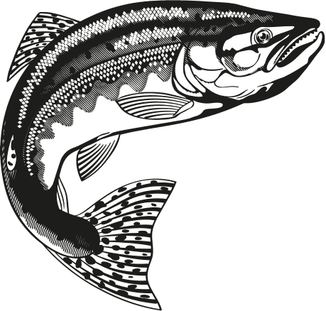 Иллюстрация к книге — «Моревизор» уходит в плавание, или Путешествие в глубь океана [i_113.jpg]