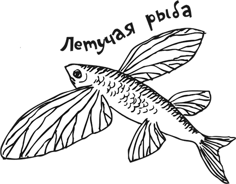 Иллюстрация к книге — «Моревизор» уходит в плавание, или Путешествие в глубь океана [i_116.jpg]