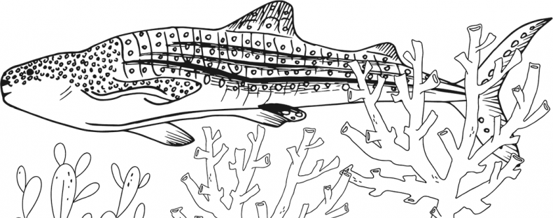 Иллюстрация к книге — «Моревизор» уходит в плавание, или Путешествие в глубь океана [i_118.jpg]