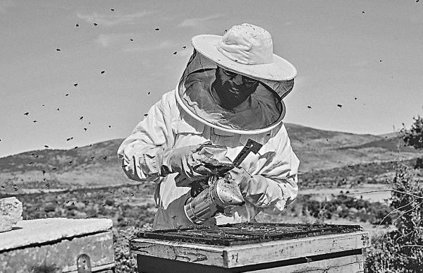 Иллюстрация к книге — История маски. От египетских фараонов до венецианского карнавала [i_020.jpg]