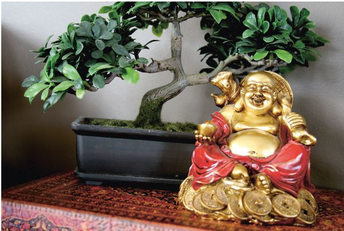 Иллюстрация к книге — Поднебесная страна/ Традиции, культура, праздники, кухня, медицина [i_011.jpg]