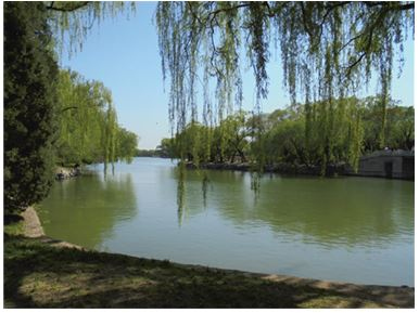 Иллюстрация к книге — Поднебесная страна/ Традиции, культура, праздники, кухня, медицина [i_019.jpg]