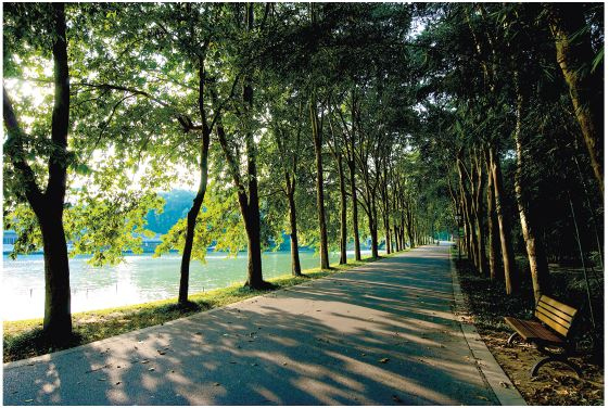 Иллюстрация к книге — Поднебесная страна/ Традиции, культура, праздники, кухня, медицина [i_022.jpg]