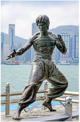 Иллюстрация к книге — Поднебесная страна/ Традиции, культура, праздники, кухня, медицина [i_034.jpg]