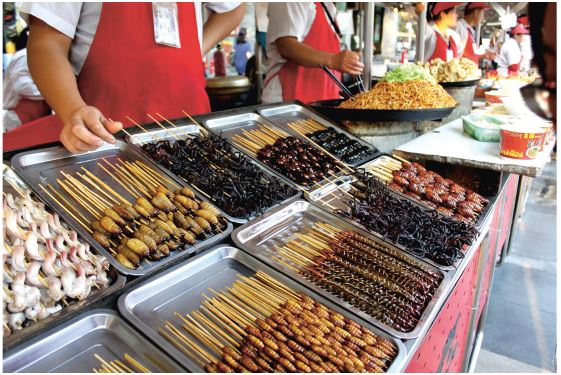 Иллюстрация к книге — Поднебесная страна/ Традиции, культура, праздники, кухня, медицина [i_066.jpg]