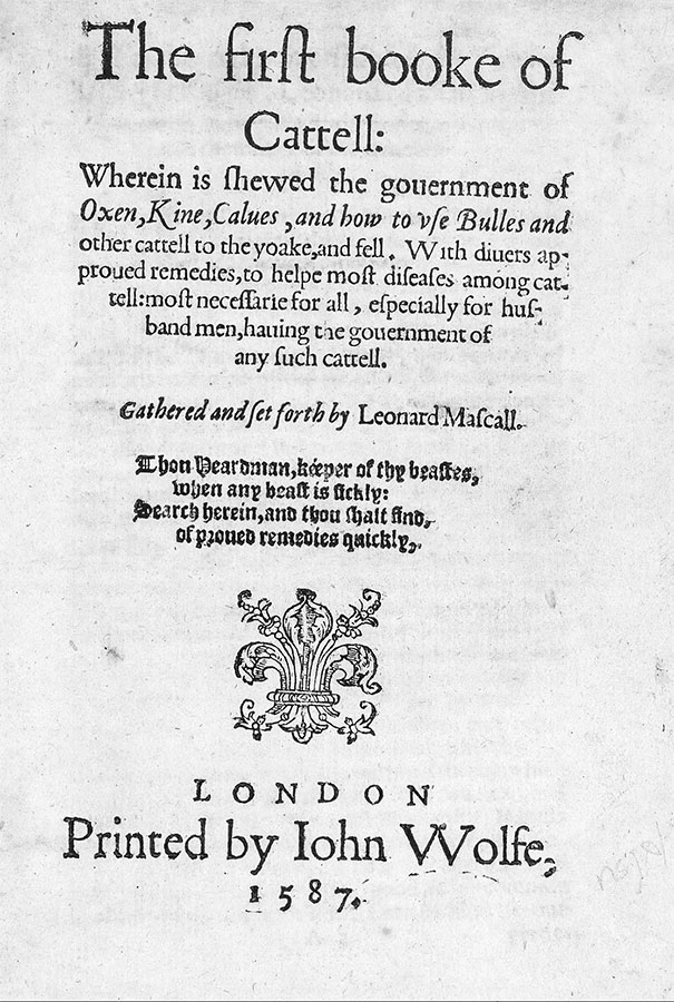 Иллюстрация к книге — Как жить в эпоху Тюдоров. Повседневная реальность в Англии ХVI века [i_014.jpg]