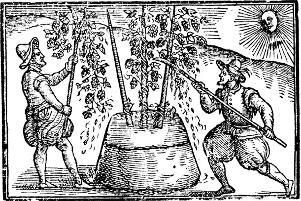 Иллюстрация к книге — Как жить в эпоху Тюдоров. Повседневная реальность в Англии ХVI века [i_017.jpg]