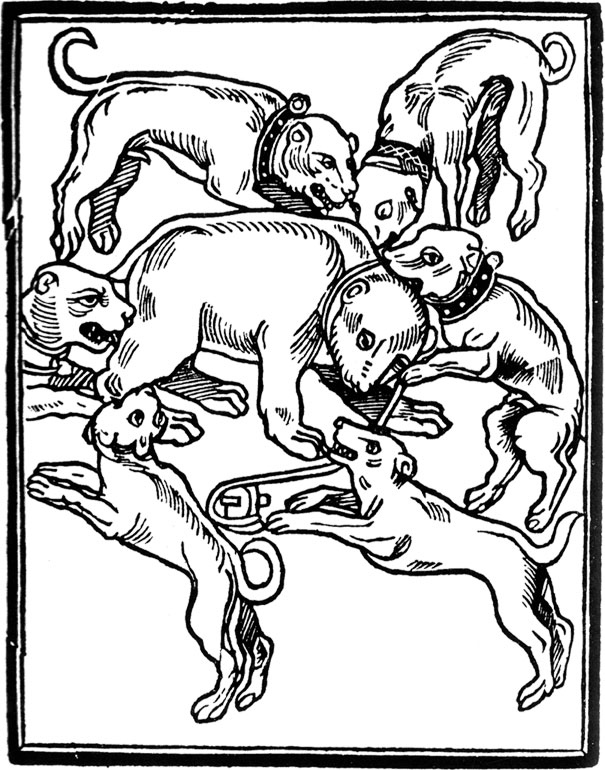 Иллюстрация к книге — Как жить в эпоху Тюдоров. Повседневная реальность в Англии ХVI века [i_020.jpg]