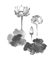 Иллюстрация к книге — Счастье по дзен. Искусство любить то, что есть, и создавать то, что хочется [i_002.jpg]