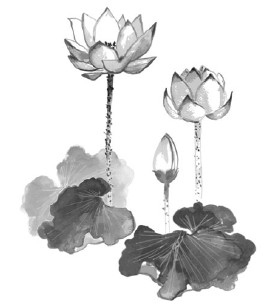 Иллюстрация к книге — Счастье по дзен. Искусство любить то, что есть, и создавать то, что хочется [i_045.jpg]