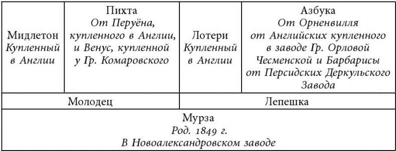 Иллюстрация к книге — Русский всадник в парадигме власти [i_014.jpg]