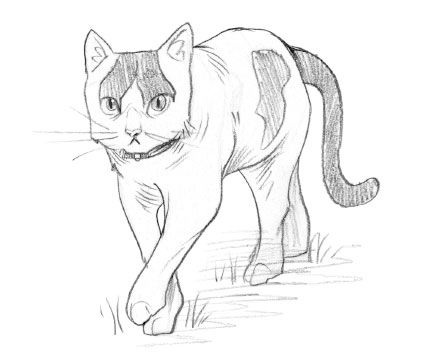 Иллюстрация к книге — Мои жуткие соседи [i_016.jpg]