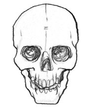 Иллюстрация к книге — Мои жуткие соседи [i_031.jpg]