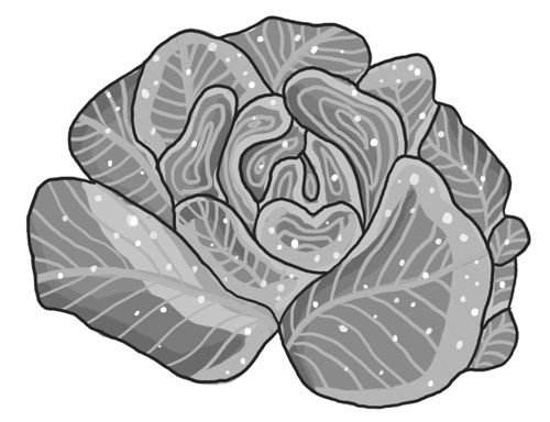 Иллюстрация к книге — Мастерская чудес [i_018.jpg]