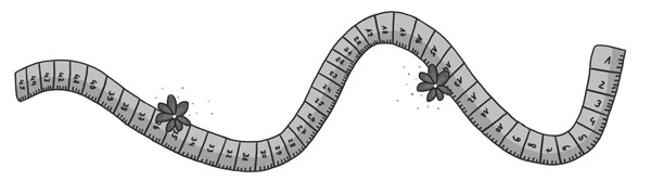 Иллюстрация к книге — Мастерская чудес [i_032.jpg]