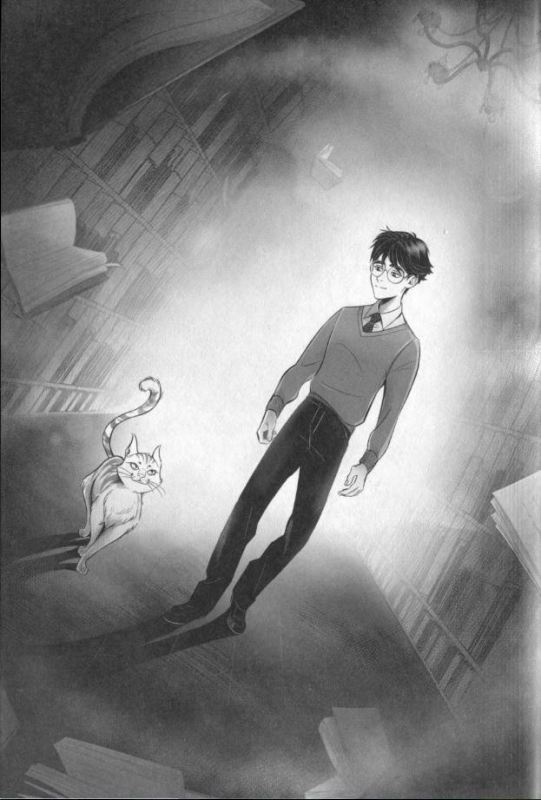 Иллюстрация к книге — Кот, который любил книги [pic01.jpg]