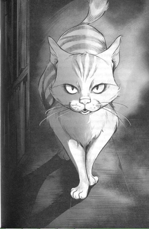 Иллюстрация к книге — Кот, который любил книги [pic03.jpg]