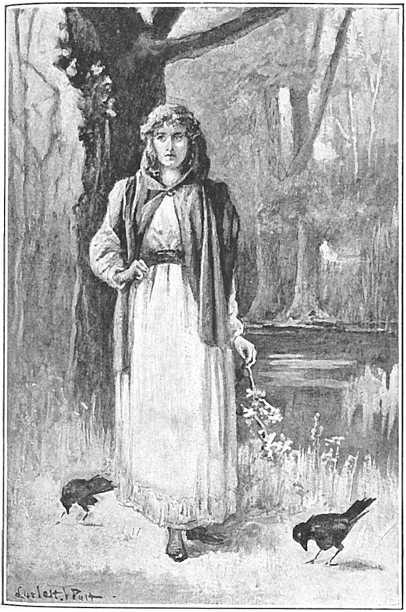 Иллюстрация к книге — Рассвет [i_012.jpg]