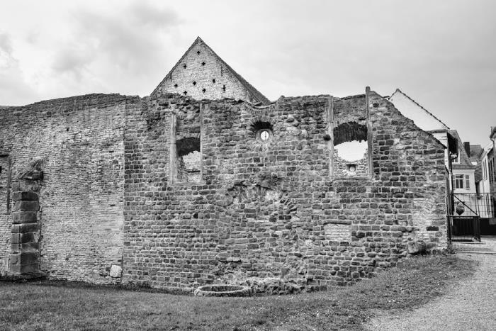 Иллюстрация к книге — Изгои Средневековья. «Черные мифы» и реальность [i_014.jpg]