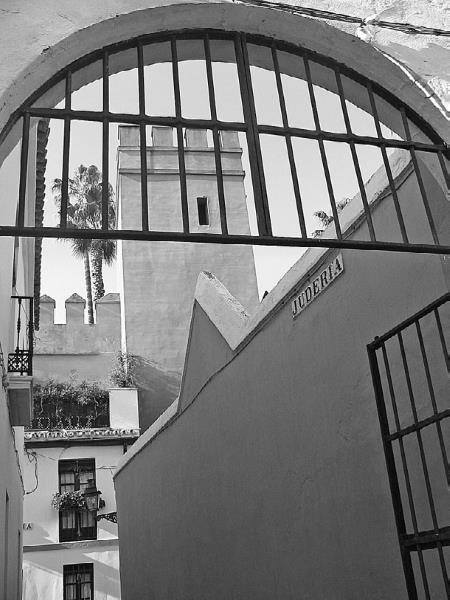 Иллюстрация к книге — Изгои Средневековья. «Черные мифы» и реальность [i_018.jpg]