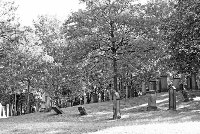 Иллюстрация к книге — Изгои Средневековья. «Черные мифы» и реальность [i_060.jpg]