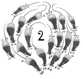 Иллюстрация к книге — Элиотт, который потерялся в библиотеке [i_003.jpg]