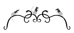 Иллюстрация к книге — Элиотт, который потерялся в библиотеке [i_004.jpg]