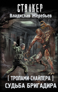 Книга Тропами Снайпера. Судьба Бригадира