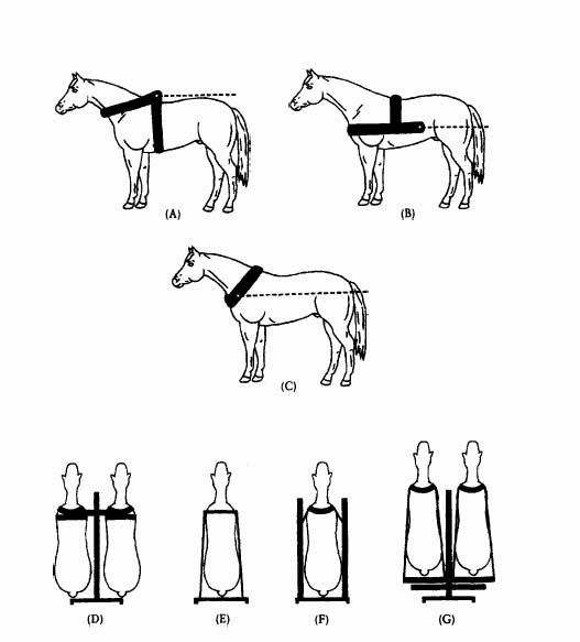 Иллюстрация к книге — Всемирная история. Новый взгляд [img_42.jpg]
