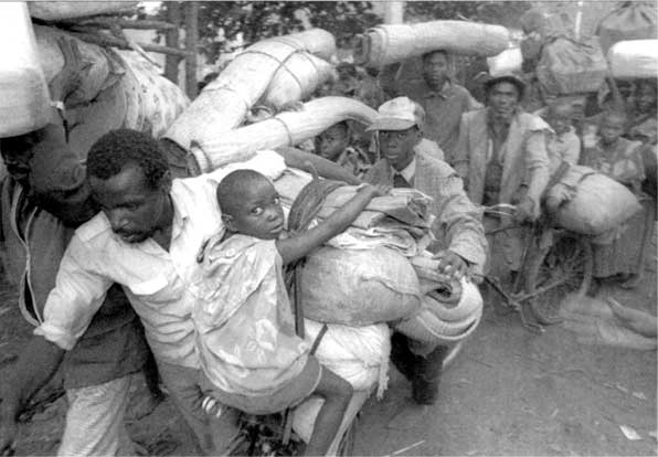 Иллюстрация к книге — Коллапс. Почему одни общества приходят к процветанию, а другие – к гибели [i_035.jpg]