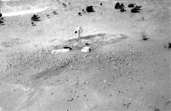 Иллюстрация к книге — Коллапс. Почему одни общества приходят к процветанию, а другие – к гибели [i_042.jpg]