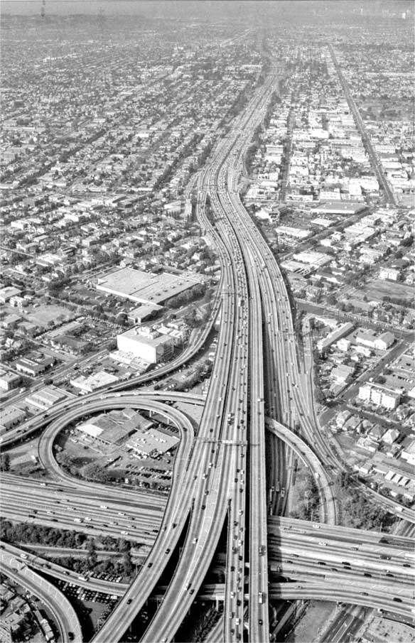 Иллюстрация к книге — Коллапс. Почему одни общества приходят к процветанию, а другие – к гибели [i_050.jpg]