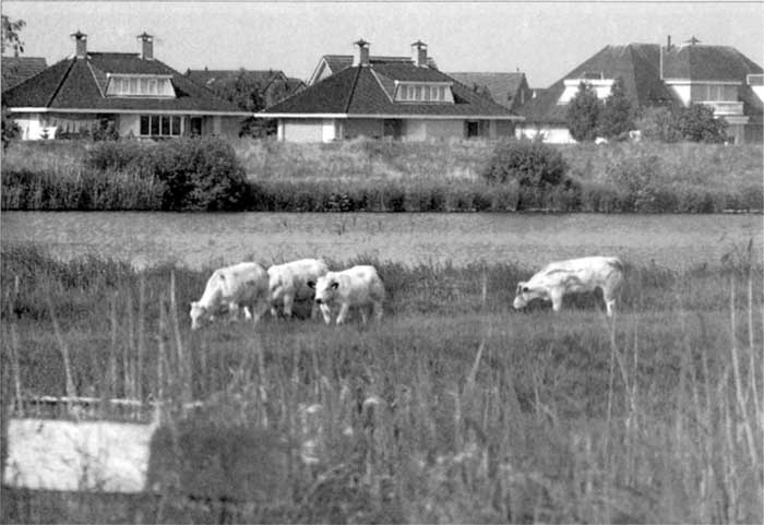 Иллюстрация к книге — Коллапс. Почему одни общества приходят к процветанию, а другие – к гибели [i_053.jpg]