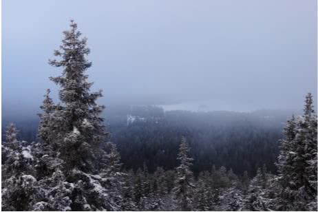 Иллюстрация к книге — Сотник из будущего. Северная война [i_002.jpg]