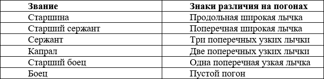 Иллюстрация к книге — Сотник из будущего. Эстляндия [i_003.jpg]