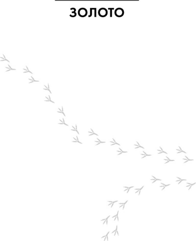 Иллюстрация к книге — Сороки-убийцы [i_001.jpg]